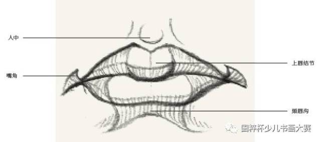 嘴部素描头像五官及细节训练之嘴巴