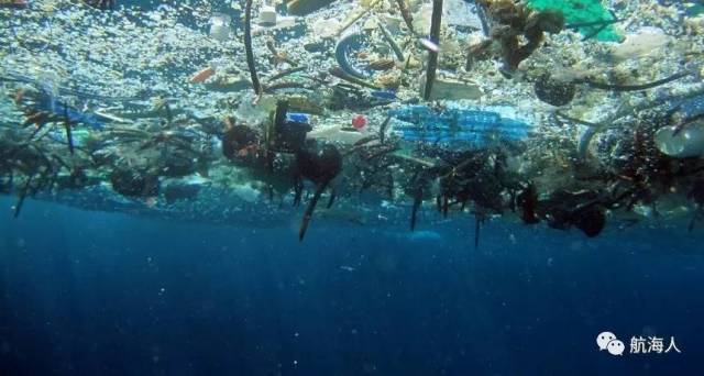 塑料每年造成海洋生态损失达130亿美元!