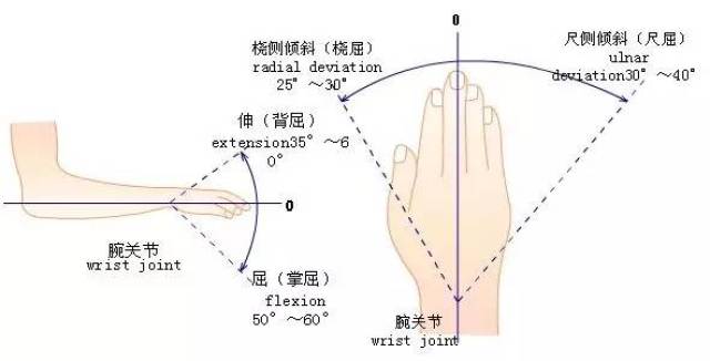 附录:各关节的正常活动范围 (1)肩关节 屈曲(上臂前举)可达90°;伸