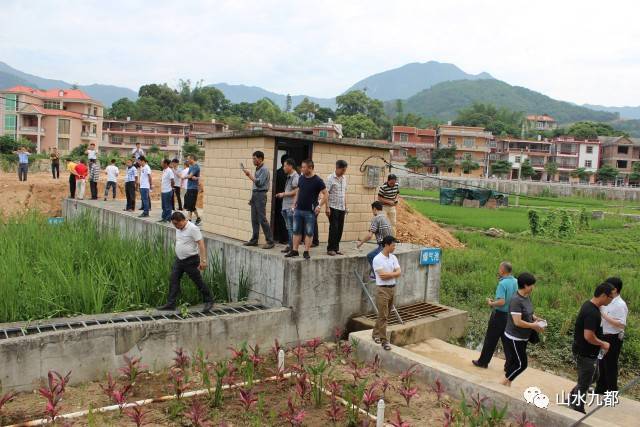 市住建局黄佳顺副局长带队200余人到九都镇新峰村,金圭村现场观摩农村