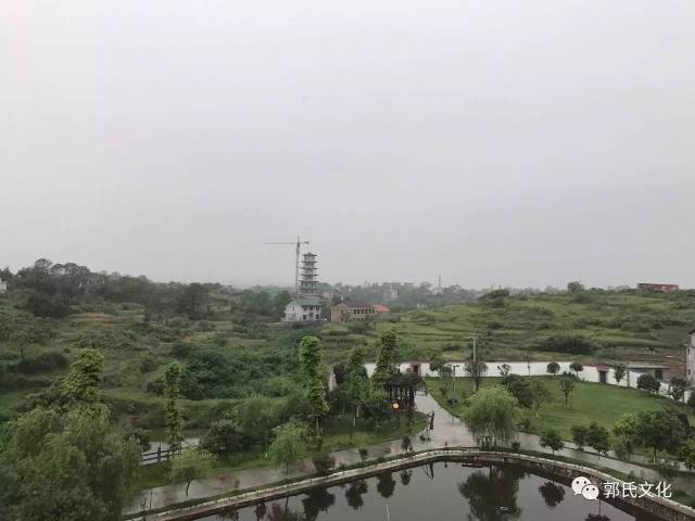 在当地文平,向荣宗长的引领下冒雨前行,分别到达了桥头河镇青草村的老