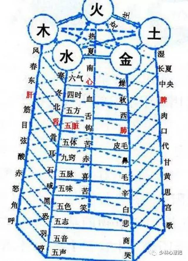 芢 花 芹 芥 苁 芩 芬 芳 芦 芯 苰 苏 栒 栓 栗 栟 校 五行属水的字