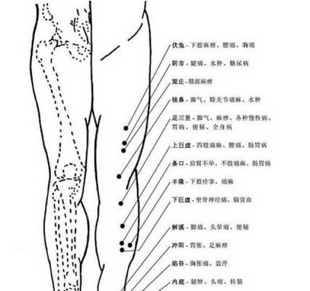 经络是经脉和络脉的总称,古人发现人体上有一些纵贯全身的路线,称之为