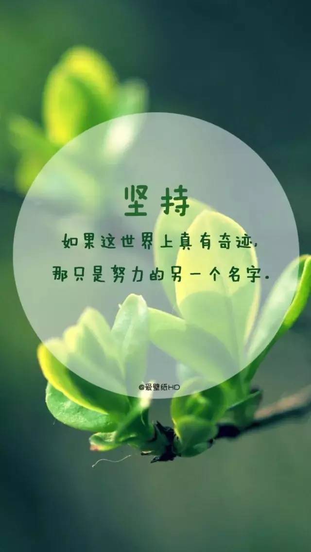 water心语:坚强战胜一切的勇气,有了生命的战斗力,这才是你活下去的