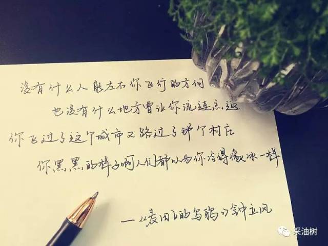 【长庆范儿】无以为报我只能以字相许了