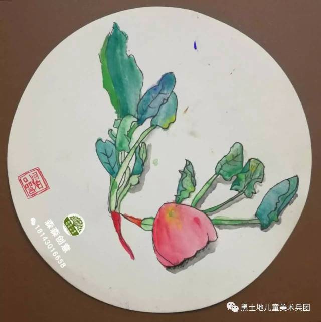 菠菜的叶子是绿的,根茎却是红色的,又形成