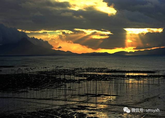 基本信息【报到地点:霞浦速八酒店(地址:霞浦县山河路(东吾路5号