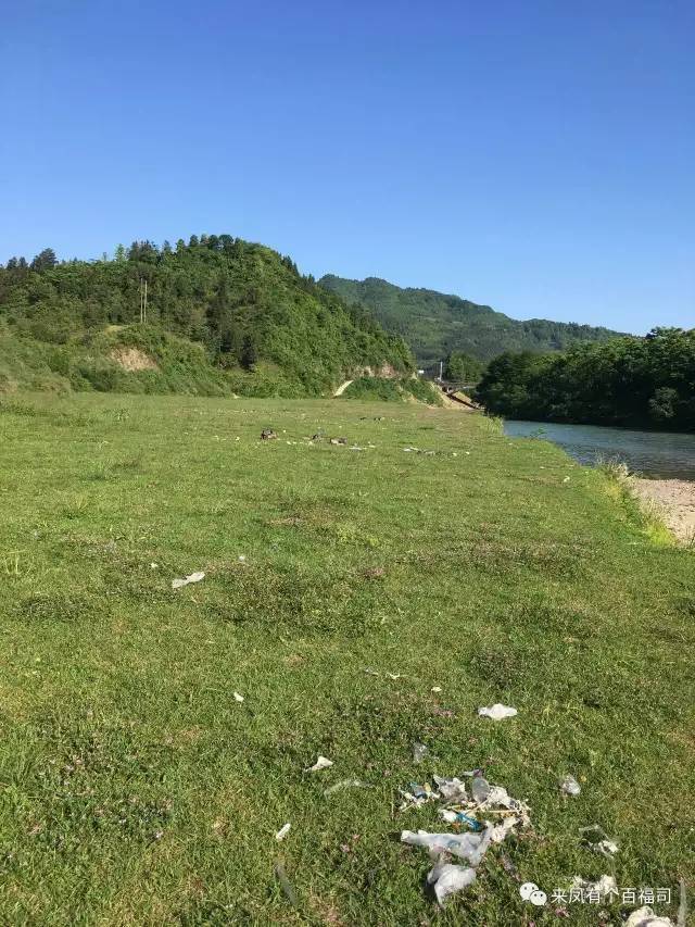 一簇簇白色的"花,走近一看全是别人野炊后留下的垃圾和烧剩下的灰烬