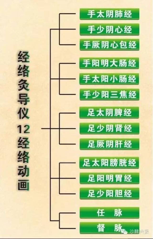 沙棘肽十二正经套操作手法