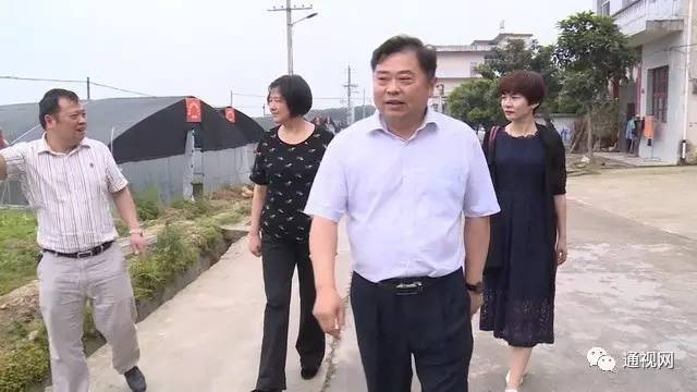 镇方松到通城县开展走村巷连民心活动_手机搜狐网