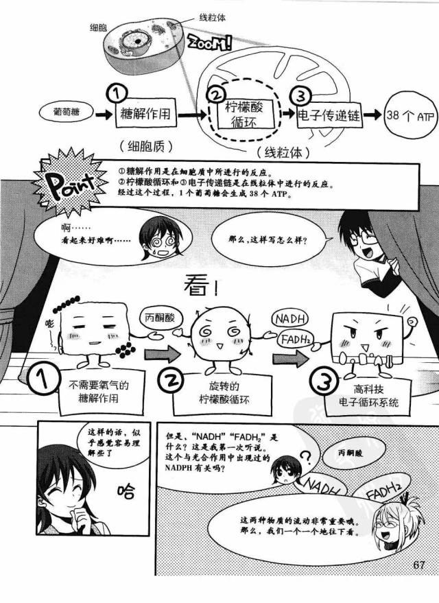 漫画"生物化学"