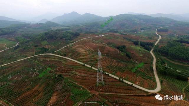 (航拍)武宣东乡镇风沿村,红心柚层梯状美如画