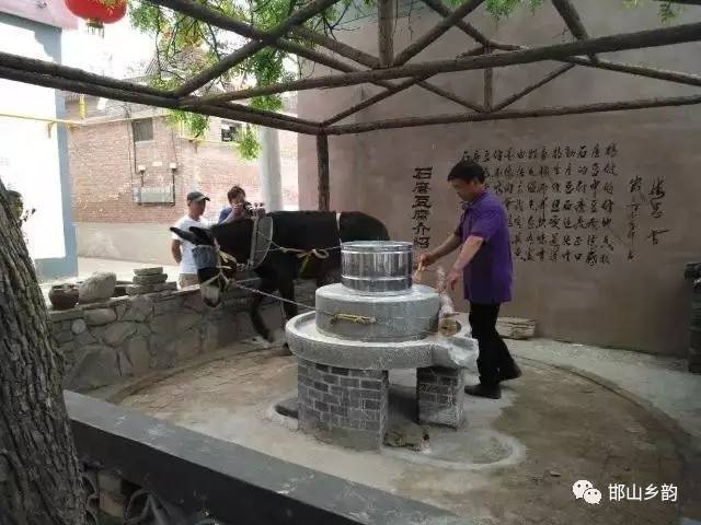 从前时光慢 小驴助匠心----古枣小堤之石磨豆腐记