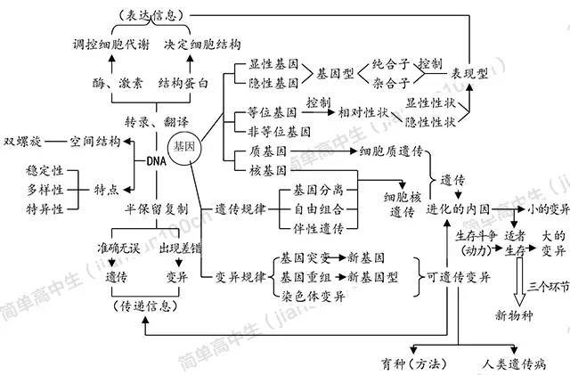 巧用网络图,构建高中生物知识结构丨强力收藏贴