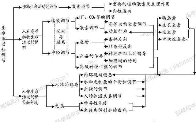 巧用网络图,构建高中生物知识结构丨强力收藏贴