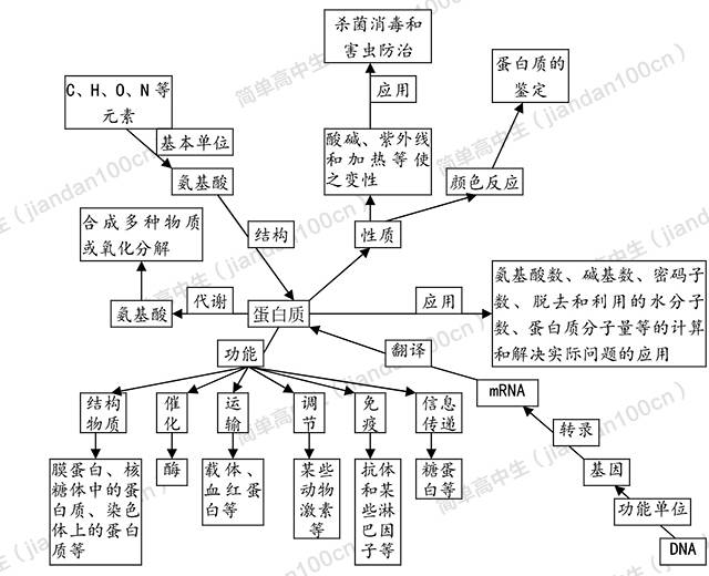 巧用网络图,构建高中生物知识结构丨强力收藏贴