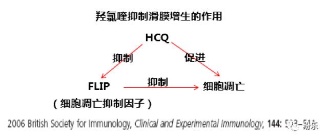 硫酸羟氯喹,为何如此神奇?