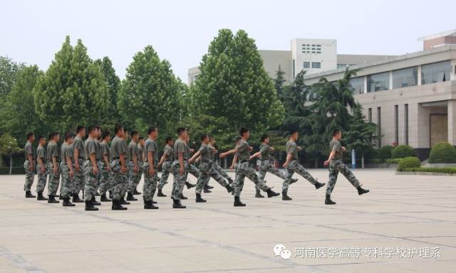 【第546期】空军沈阳后勤训练基地孟德轶一行莅临我校