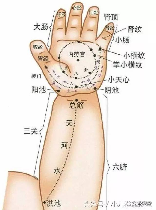 到底怎样区别肾阴虚和肾阳虚?小儿推拿主要做什么穴位