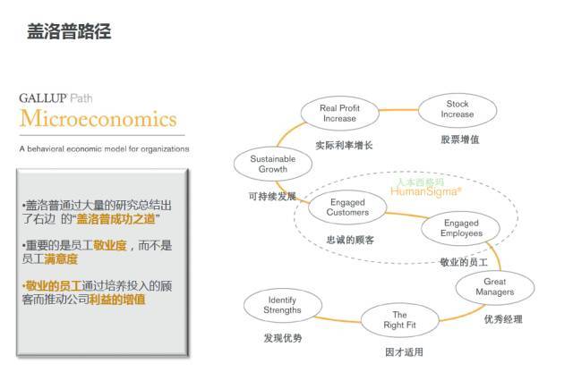 的交流,都直接影响着公司的收入和利润,在盖洛普路径图中可以很清晰