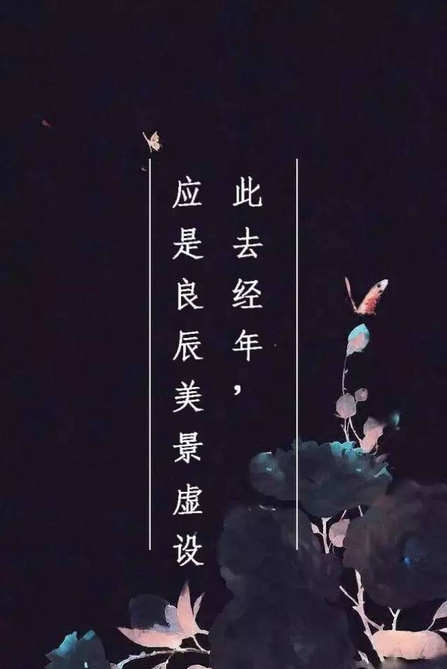 此去经年,应是良辰美景虚设