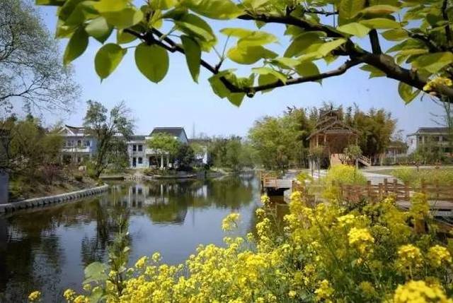 嘉兴建林村"梅里水乡"聚宝湾,藏在绿水青山中的财富秘密