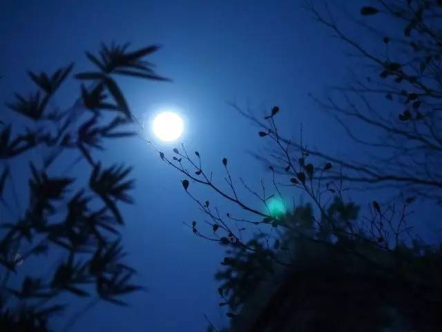 张宇 ▏ 月夜下的随想
