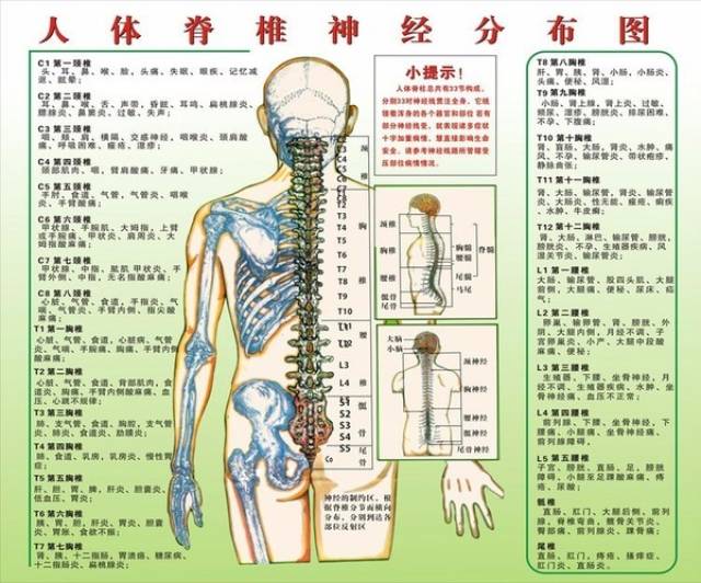 病在脊柱,害在内脏!