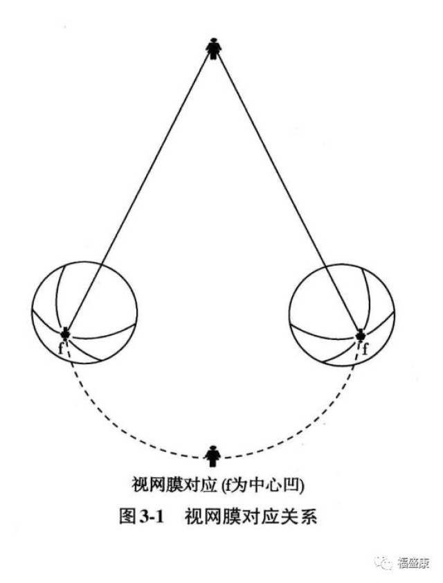 【专业】视网膜中心凹和周边视网膜成分的对应《双眼视觉(三)