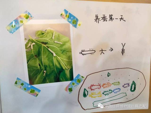 中丝博科普养蚕课堂走进市府机关幼儿园