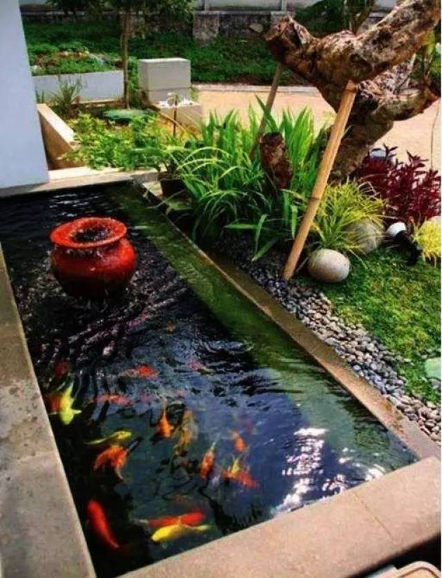 院子除了种花草,还需要一方鱼池