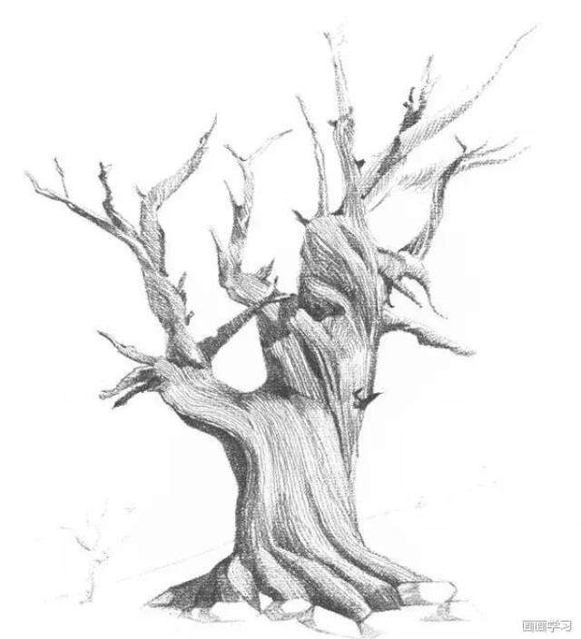 5.继续画出枯树的小枝干,注意枝干的前后表现.