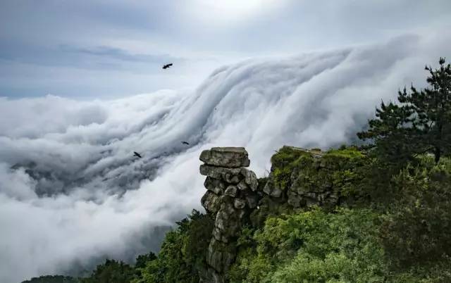 跟着诗词去旅行 | 去庐山,在清风雨雾中偶遇一次云瀑奇观!