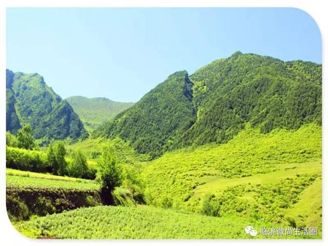 【欣赏】临洮南屏山夏日风光——美翻了