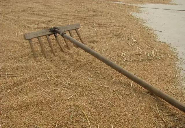 那些年农村收麦子,常用的这9种工具,有一种据说是诸葛亮发明的