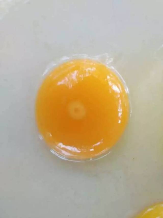 鸡蛋到底有多少层?—中国10家生态农场的第273天