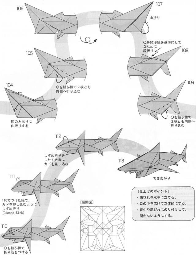 今天鲨鱼可是土生土长的鱼类呢……凭借相对原始的结构已经繁衍五亿年