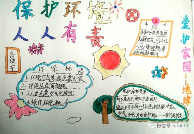 滨海实小学生制作的手抄报图文并茂有看头