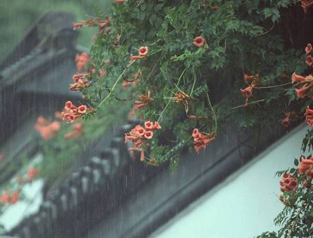 听雨,品茗,观山,九江这个地方的雨天好浪漫!