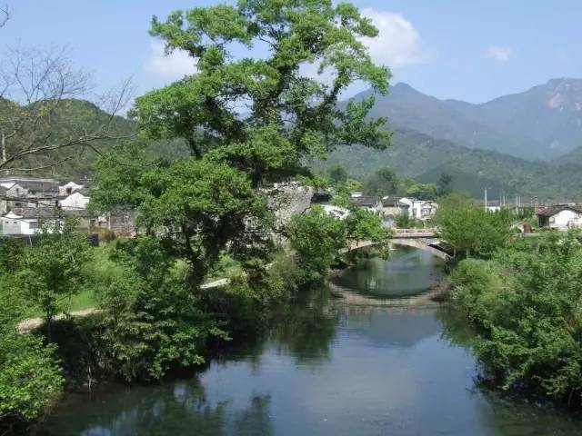 景区地址:黄山市祁门县历口镇 咨询电话:400-0559-166 祁门牯牛降历溪