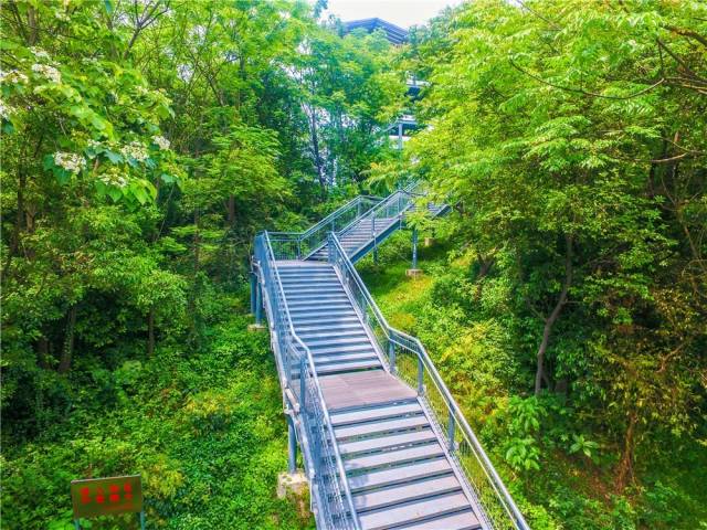 行走佛山 清新避暑好去处!有空就去华盖山栈道刷步"洗肺!