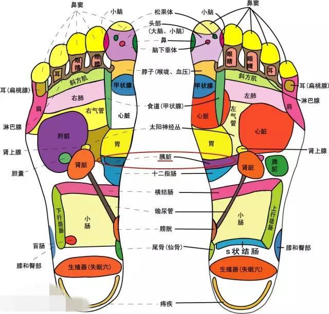 刮痧| 糖尿病控血糖的刮痧疗法