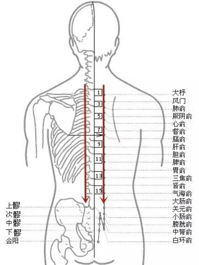 刮痧法的实验原理是什么_中暑刮痧是什么颜色