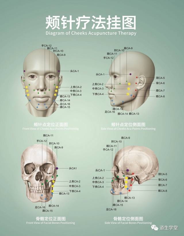 颊针疗法丨《颊针疗法挂图》出版发行
