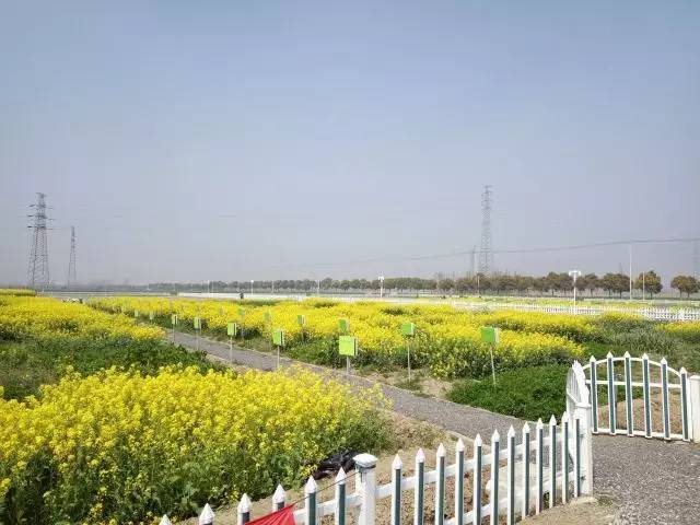 【休闲农业示范村】太仓市城厢镇电站村