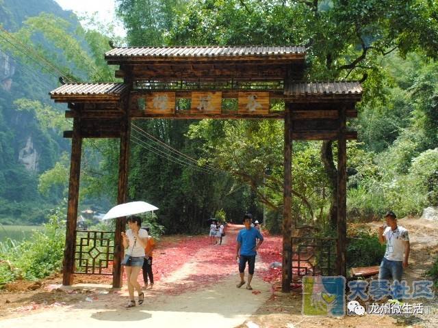 原来,龙州樱花谷在这里!-旅游频道-手机搜狐