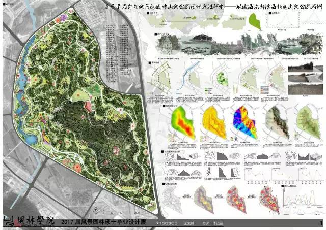 95 基于适应自然地形的城市山地公园设计方法研究——以威海东部滨海