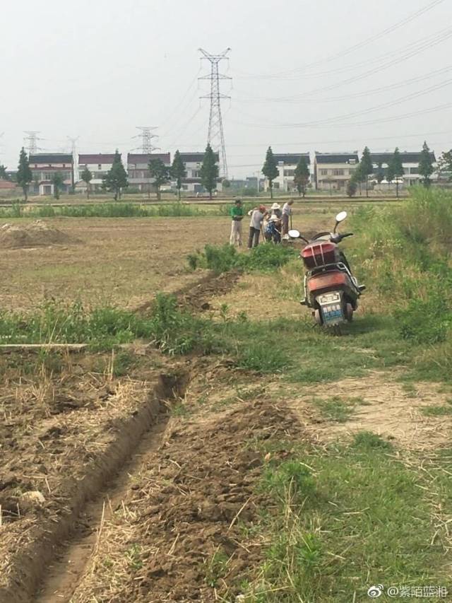 如皋江安镇合作村因村干部伪造土地承包 导致农户纠纷