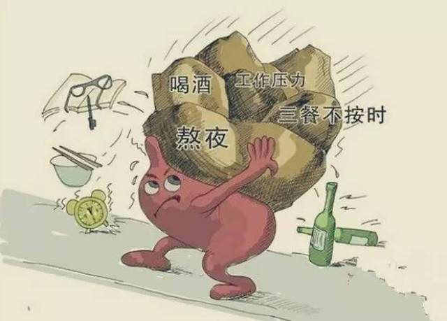 免疫力下降是头发未老先白的元凶