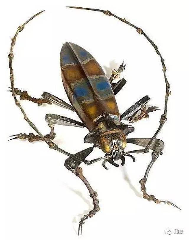 机械甲虫 edouard martinet